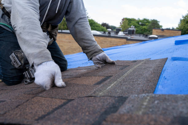 Best Roof Gutter Cleaning  in Wallingford Center, CT